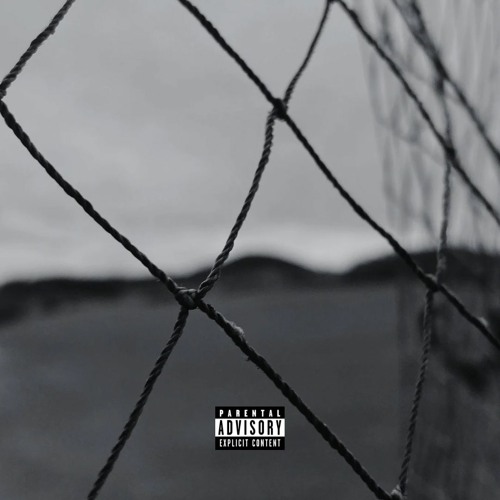 disident raw shieet 2021 ft.Hnede