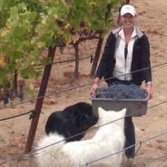 Episode 244 - Kara Fingerman, Hard Six Cellars