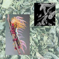 Noods Radio - The Rye Wax Show W/ HUNA