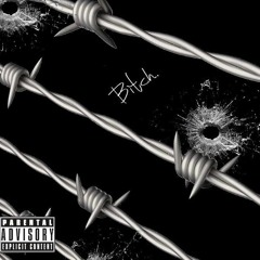 Bitch. (Ft. CXRPSE) [prod. Skotskr]