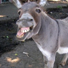 Добрый плейлист