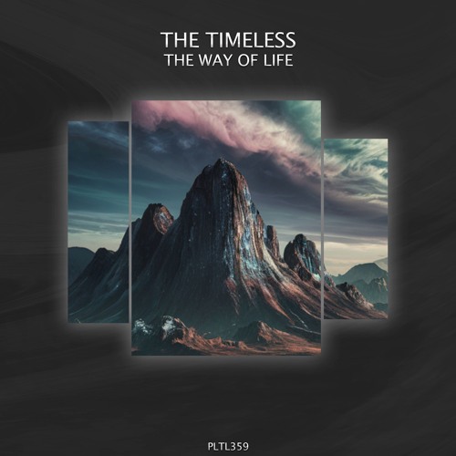 THE TIMELESS (be) - The Noise Line