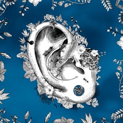 Beyond Listening 2025 CENSE Symposium and TO)pot Festival of radical soundwalks