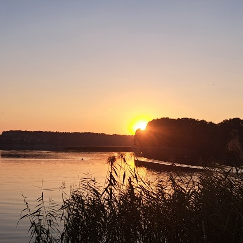 2024 - 09 - 24 September Organic & Progressive Session Part 3