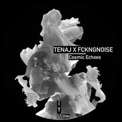 Tenaj X Fckngnoise - Cosmic Echoes