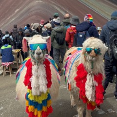 Hard House X Hard Groove