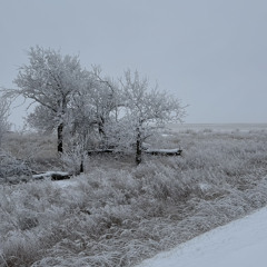 Jan 2025 - Lickety Split