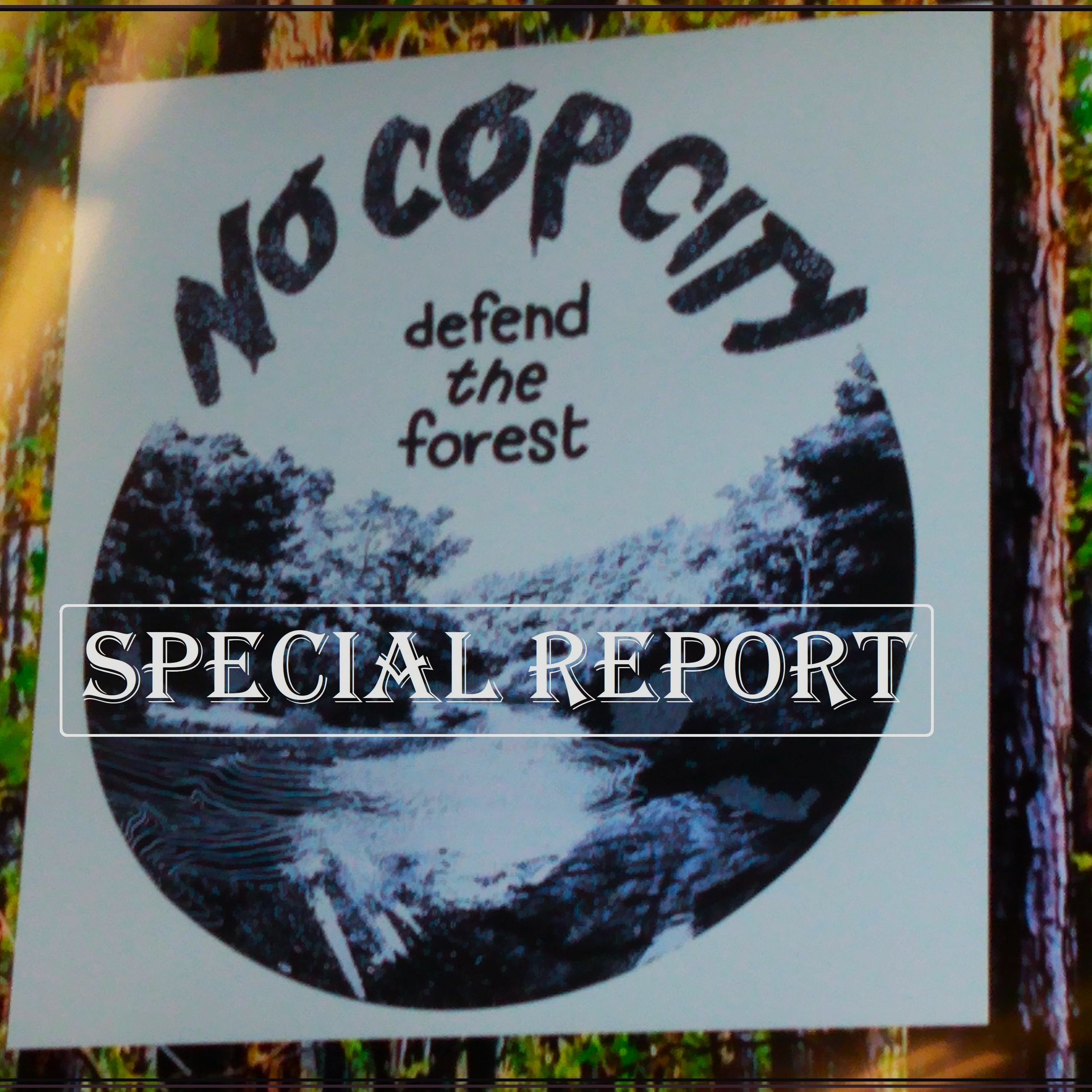 Socialist News and Views