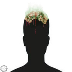 Brain Rot.