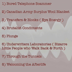 2) Canadian Army Surplus Wool Blanket