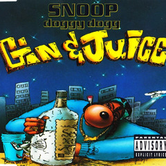SNOOP DOG - Gin & Juice #fdwl