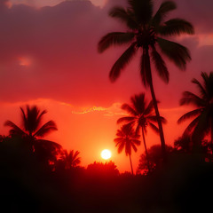 Matthew Plante - holding me down