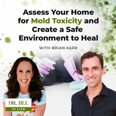 148: Dr. Jill interviews mold inspection expert, Brian Karr on Assessing Homes for Mold Toxicity.
