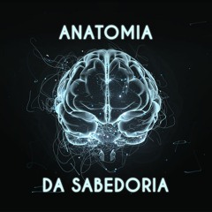 Anatomia da Sabedoria | Fernando Leite - Aula 03
