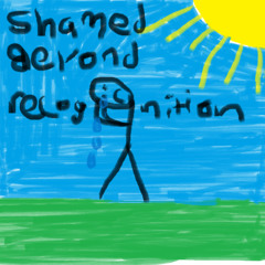 Shamed beyond recognition