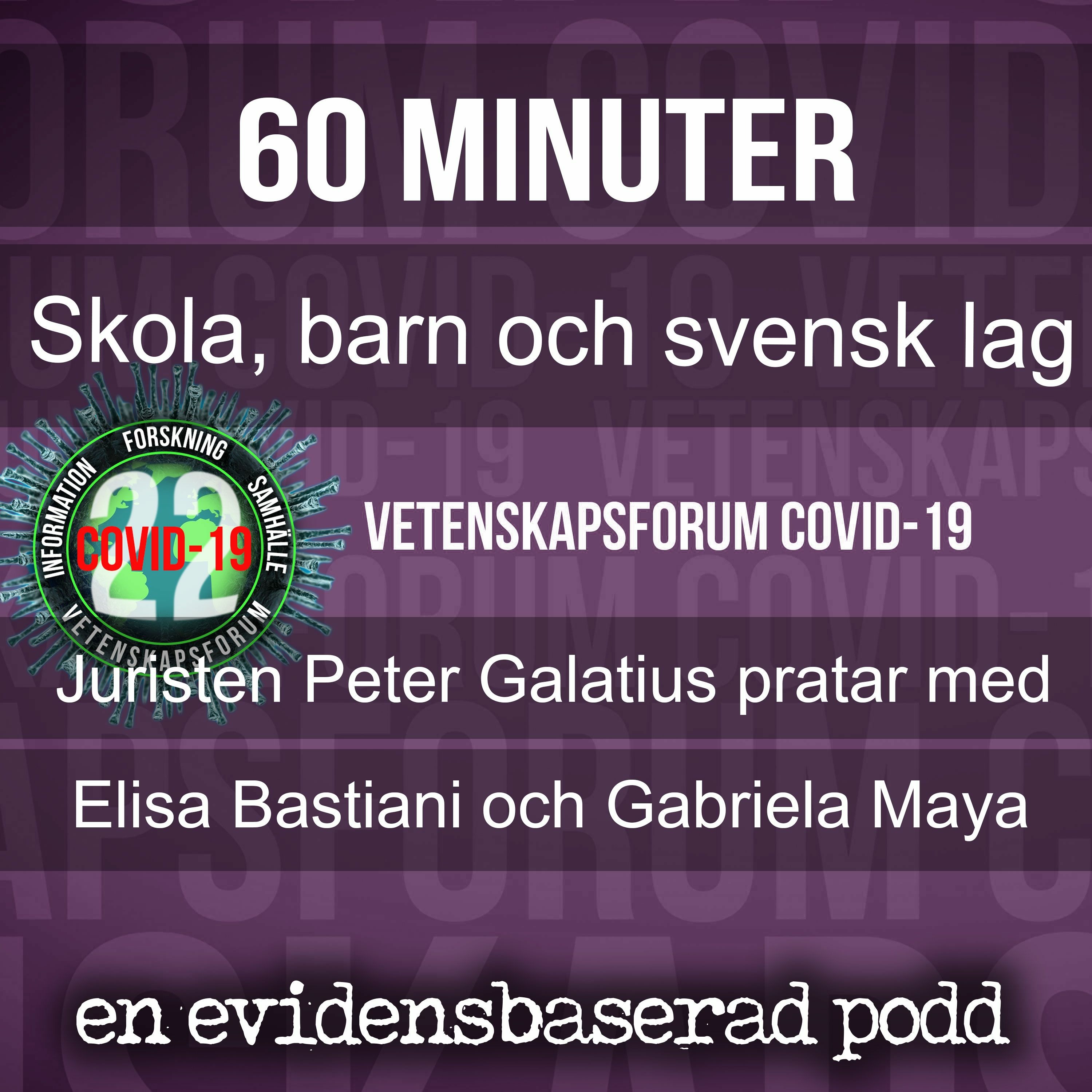 Vetenskapsforum covid-19