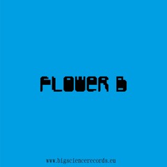 Flower B - Big Science Radio Program (24.11.24)