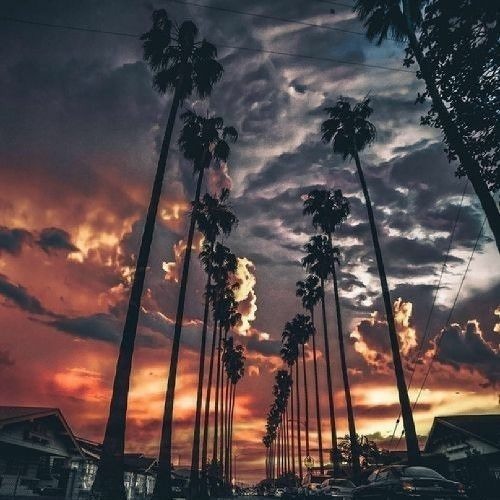Mindset