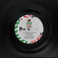 Dunk & Carasel - Modulation