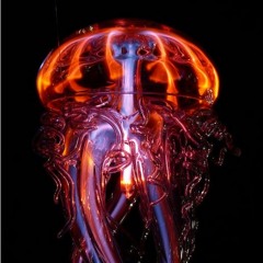 Meduzy V2.1