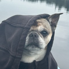 PUDDLES (prod.pyctur)