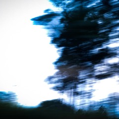 20241017 (instrumental Silêncio Confortável)