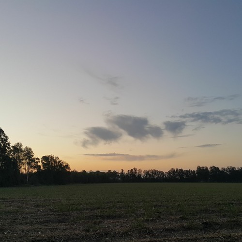 2020-10-13 Ambient Walk