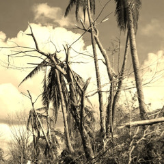 After the typhoon
