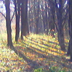 through the haze