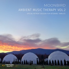 Moonbird — Ambient Music Therapy vol.2