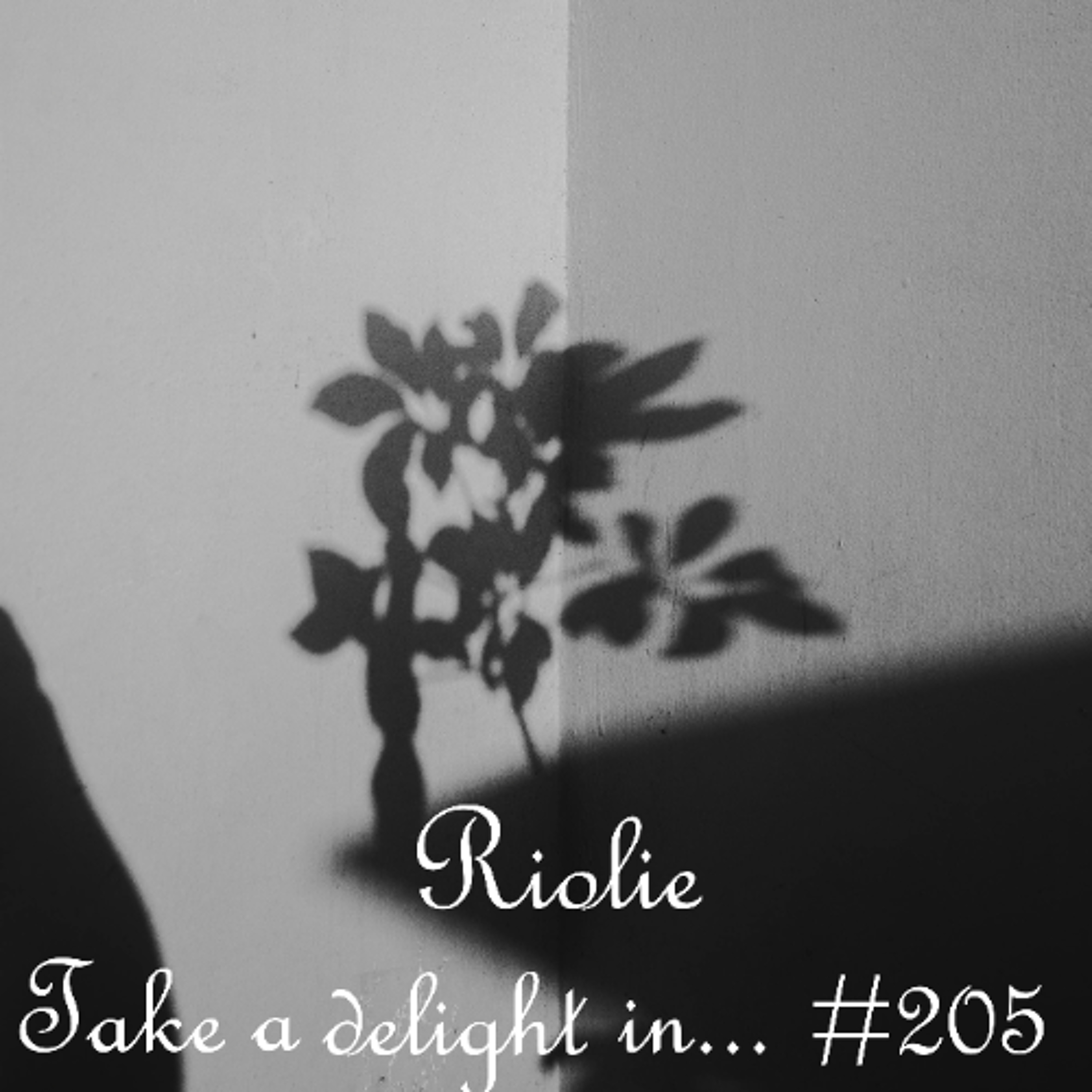 Take a delight in