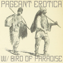Pageant Erotica - Bird Of Paradise (Slack's 22/1/22)