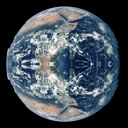 Earth-Day 194hz - Deep Within The Forest