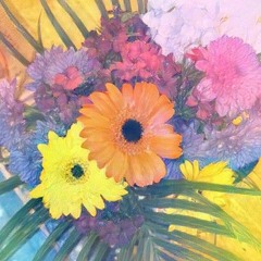 Spidersong - Say Anything [Cover]