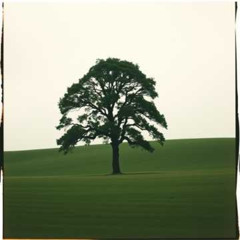 The Steadfast Tree - Pohon yang Teguh