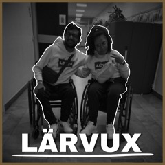 Lärvux - (Kör)