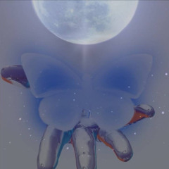 Midnight Butterfly