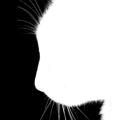 Monsters, Magic, Movie Stars