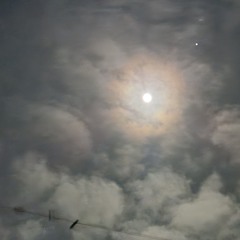 Earths Ears Together