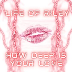Life Of Riley - How Deep Is Your Love (Free Download)