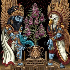 Åñîkåñ Iñstìñçt