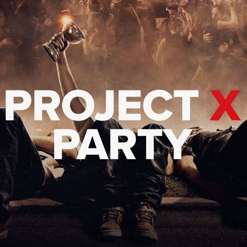 Hold On Your Going To Fine (Project X)