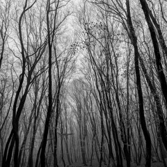 idom - special session - 15.01.2024