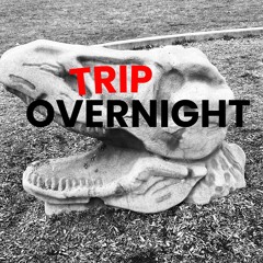 Trip Overnight