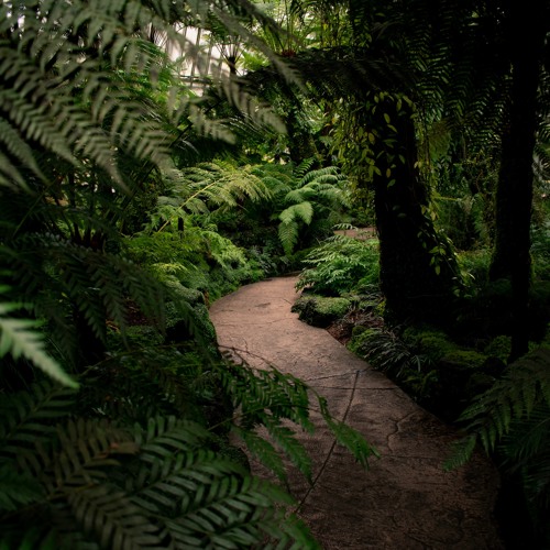 Journey Through House 005- Afro House and Tribal Melodic House