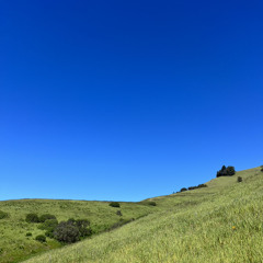 With You (co. So Kim, Rookz)