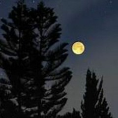 Claire de la Lune