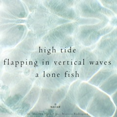In Vertical Waves [naviarhaiku430]