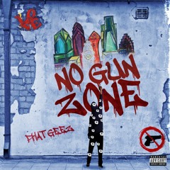 No Gun Zone