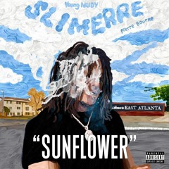 [FREE] "Sunflower" - Melodic Chill HipHop/Rap/Trap Young Nudy x Pi'erre Bourne Type Beat